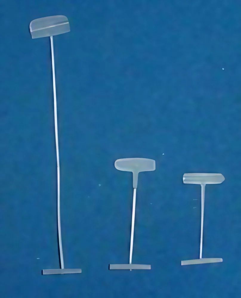 bdvc